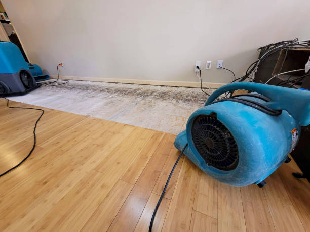 Professional Water Damage Repair technician working in Maumee, OH